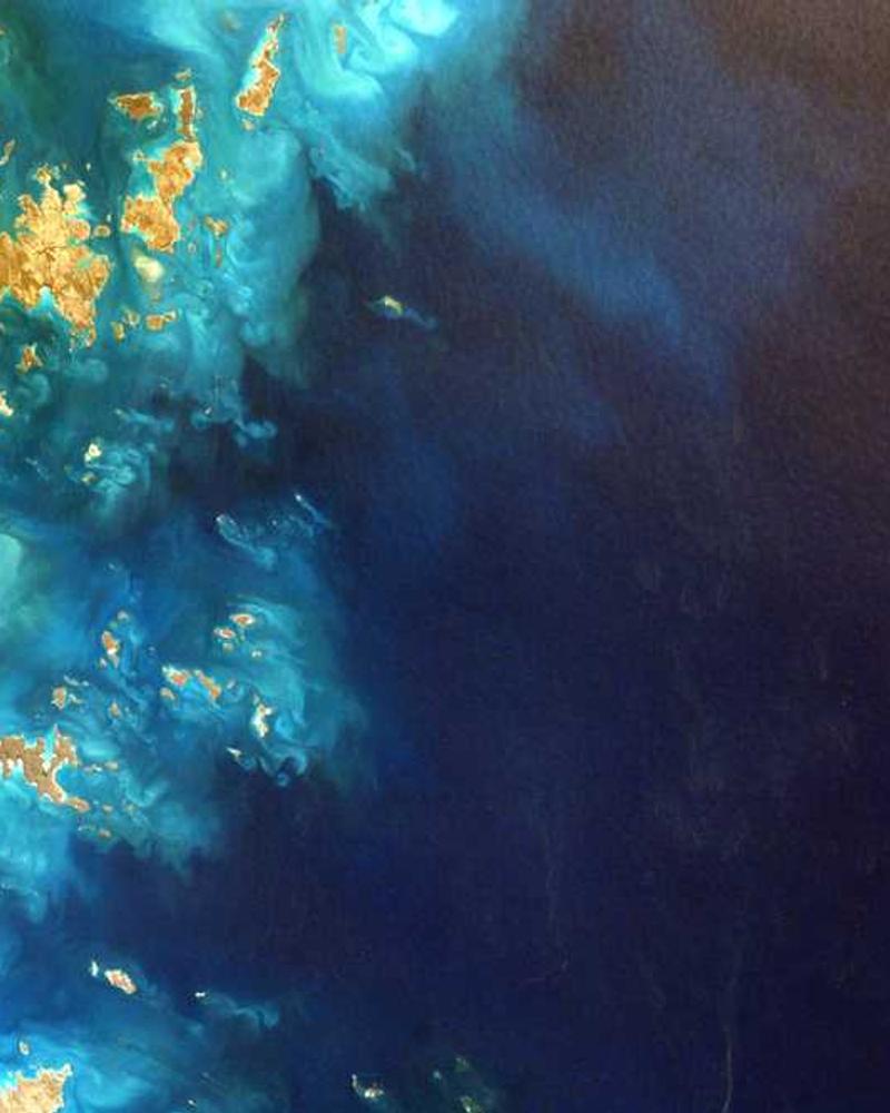 Serum bottle with dropper